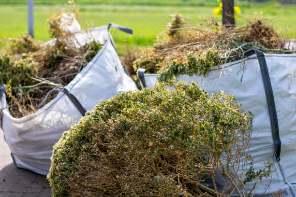 Best Carpet Removal and Disposal  in Beckley, WV